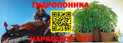 Альфа ПВП Краснокаменск