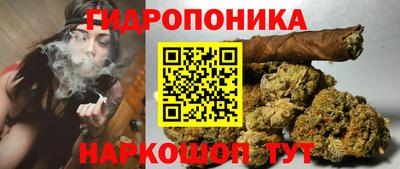 прущие грибы Краснознаменск