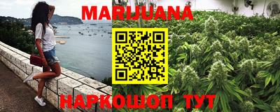 прущие грибы Краснознаменск