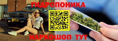 ПСИЛОЦИБИНОВЫЕ ГРИБЫ Краснодар