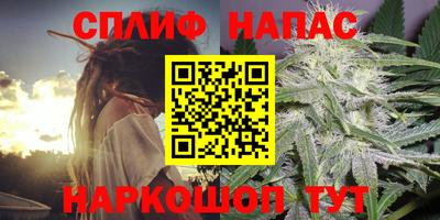 прущие грибы Краснознаменск