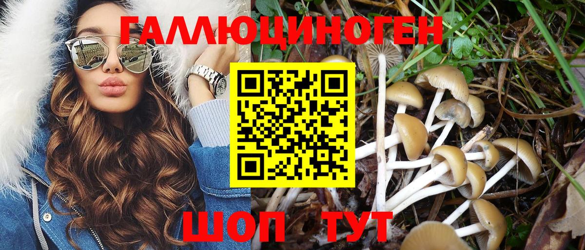 Псилоцибиновые грибы мицелий Королёв